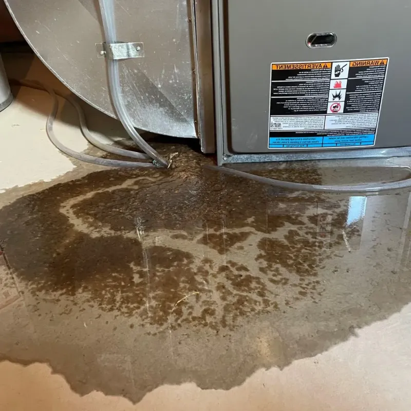 Pipe Burst and Leak Restoration in Upton, WY