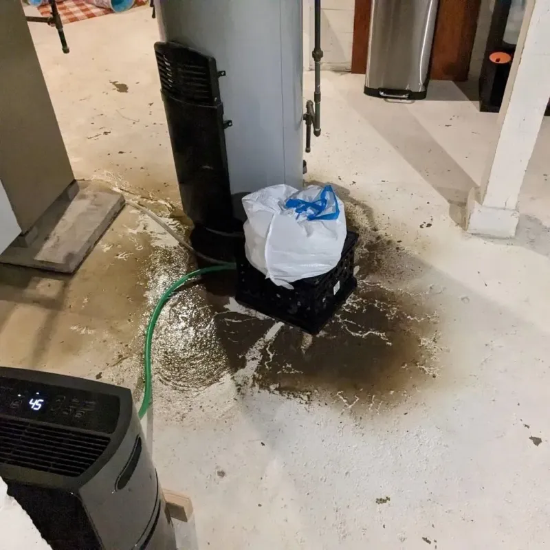 Sewage Backup Cleanup Service in Upton, WY